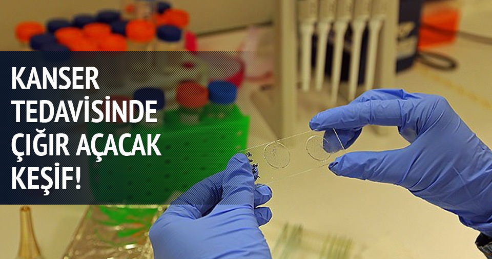 Kanser tedavisinde çığır açacak keşif