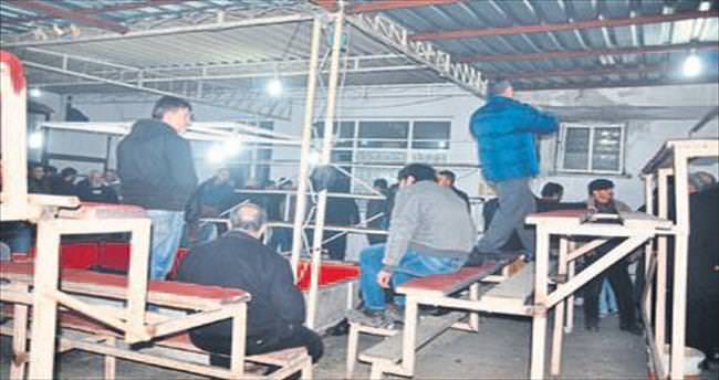 Horoz dövüştüren 68 kişiye para cezası