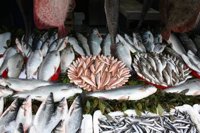 Balık Fiyatları El Yakıyor
