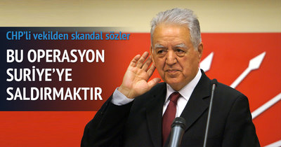 CHP’li Loğoğlu: Türkiye’nin yaptığı Suriye’ye saldırıdır