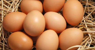 Yumurta ihracatı 4.5 milyon dolar arttı