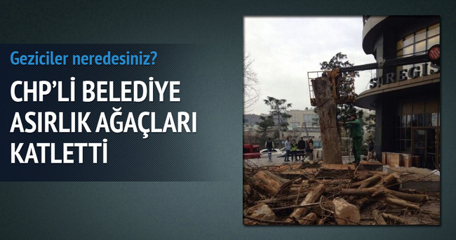 CHP’li belediye Sabancı Holding için asırlık ağaçları katletti