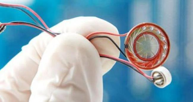 Böcek davasında üçüncü duruşma