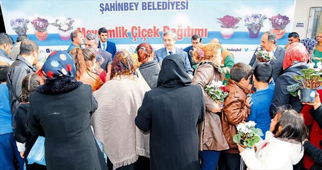 Şahinbey Belediyesi 80 bin çiçek dağıttı