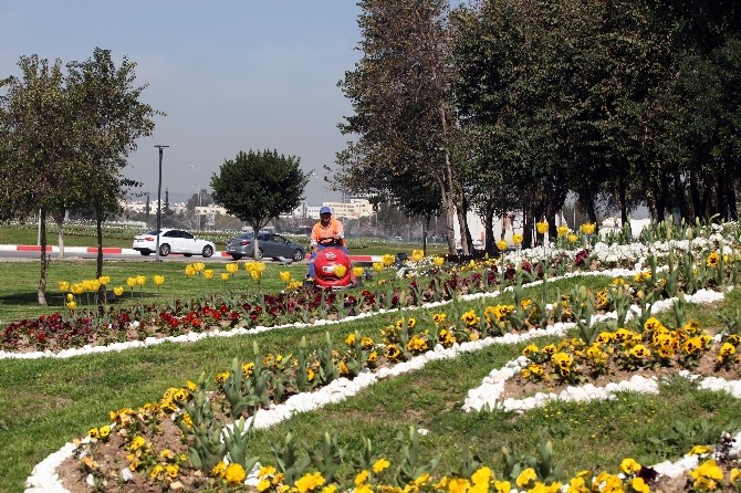 Baharın Müjdecisi Laleler Antalya’yı Süslüyor
