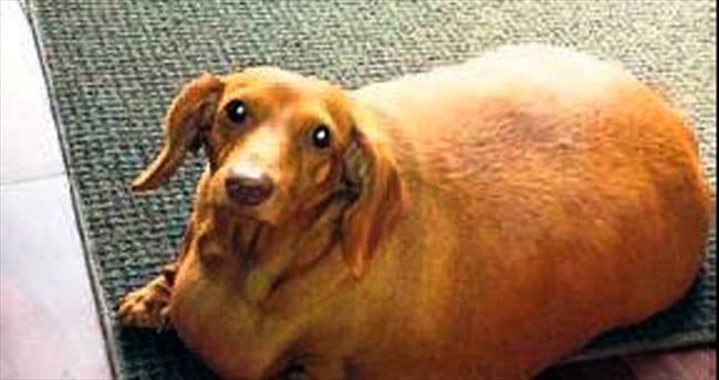 Özel diyetle 20 kilo zayıfladı