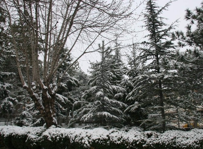 Afyonkarahisar’da Kar Yağışı