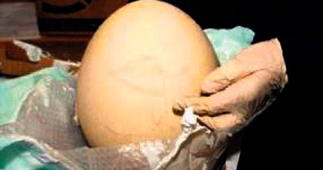 Çantadan ’sürpriz yumurta’ çıktı