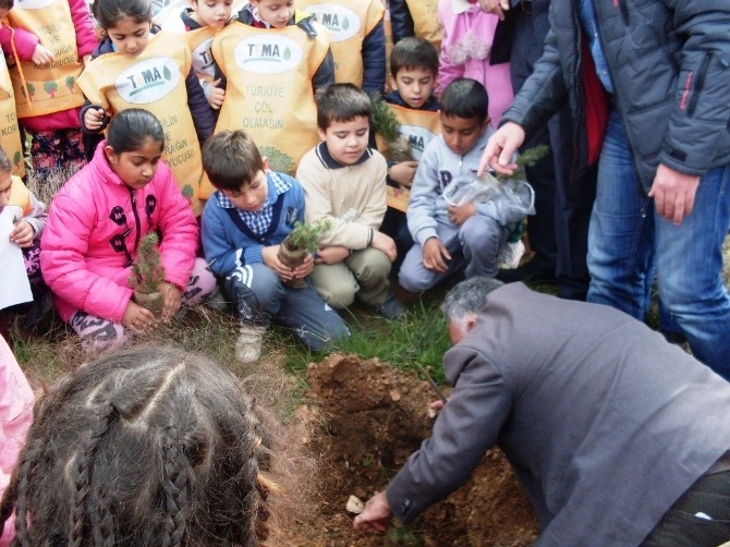 Ayvalık’ta Öğrenciler Ağaç Dikerek Orman Sevgisini Öğrendi