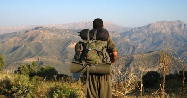 Şırnak’ta 9 PKK’lı teslim oldu