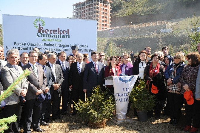 Trabzon’da Bereket Ormanı’na İlk Fidanlar Dikildi