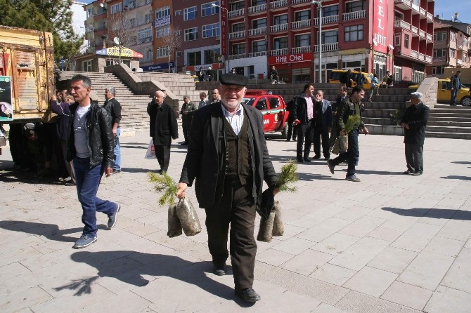 Yozgat Orman İşletme Müdürlüğü Vatandaşa Ücretsiz 5 Bin Fidan Dağıttı