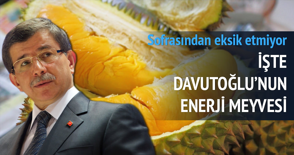 Davutoğlu’nun enerji meyvesi: Durian