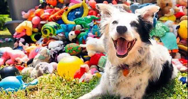 1022 kelime bilen ’Chaser’ kitap oldu