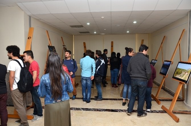 MEÜ Gazetecilik Bölümü Öğrencileri Çalışmalarını Sergiledi