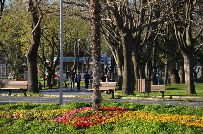 Bursa Baharı Çiçeklerle Karşıladı