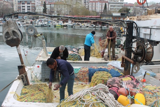 Marmara Denizi’nde Balık Çıkmayınca Sezon Erken Kapandı