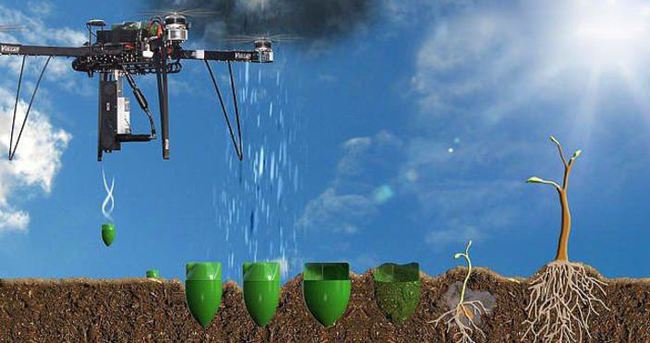 Drone kullanılarak 1 milyar ağaç dikilecek!