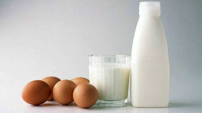 Süt Ve Yumurta Üretimi Arttı