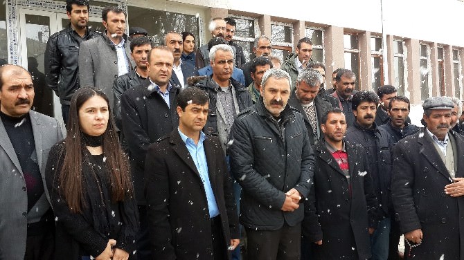Diyadin Belediyesinin Giriş Camı İle Fidanlar Kırıldı