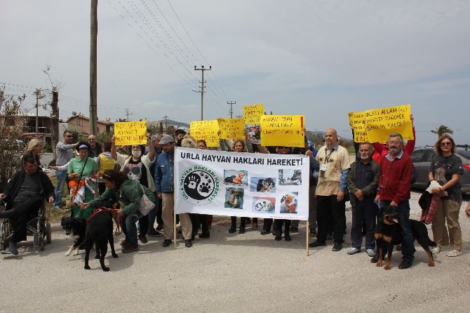 Urla’da Hayvan Katliamı Protesto Edildi