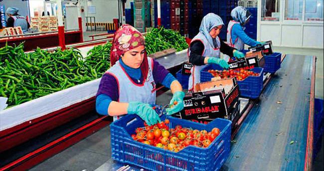 Örtüaltı tarımda açık lider Antalya
