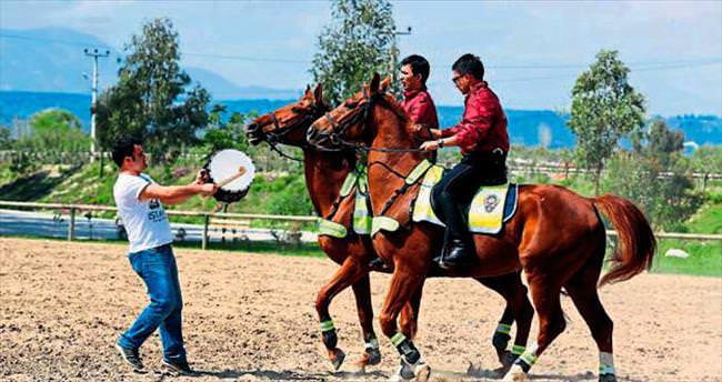 Polis atlarına davullu eğitim