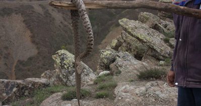 sabah