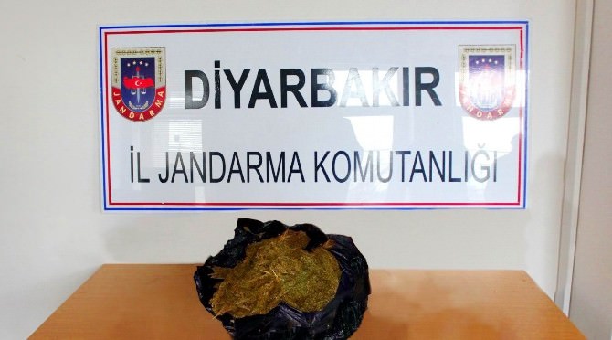 Diyarbakır’da 12 Kilogram Esrar Maddesi Ele Geçirildi