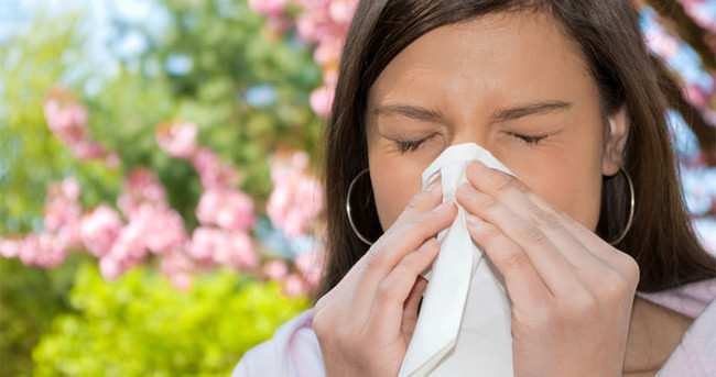 Yağışlar polen alerjisini azalttı
