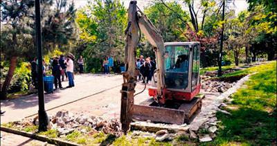 CHP’li belediye ağaçları katletti Çarşıdan ses yok
