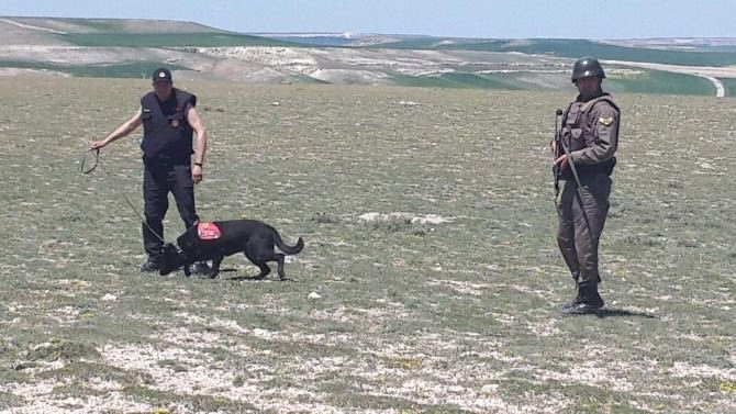 Yozgat Jandarmanın İz Takip Köpek Timi Babasını Öldüren Zanlıyı Yakaladı