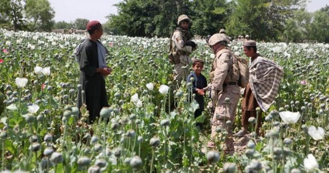 Afganistan’da uyuşturucu bağımlılarının sayısı 3 milyona ulaştı