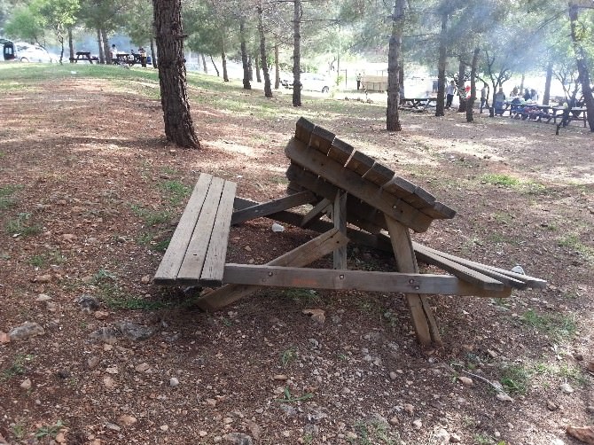 Ali Dağı Mesire Alanında Piknik Masaları Kırıldı