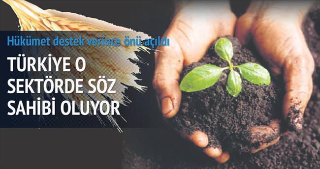 Türkiye tohum ihracatçısı oldu