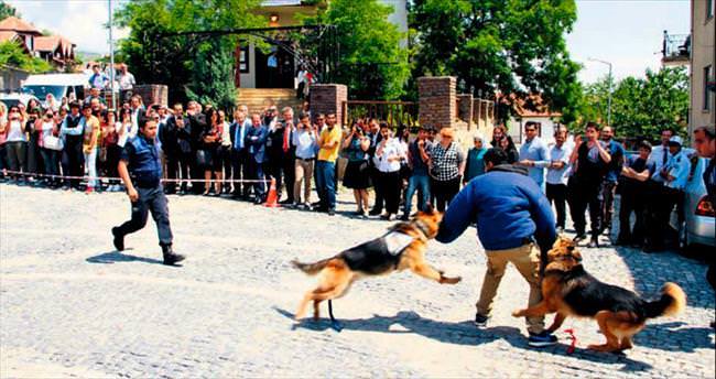 Dedektör köpek K9’lar Beypazarı’nda şov yaptı