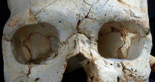 430 bin yıl önceki ilk cinayetin bulgusu mu?