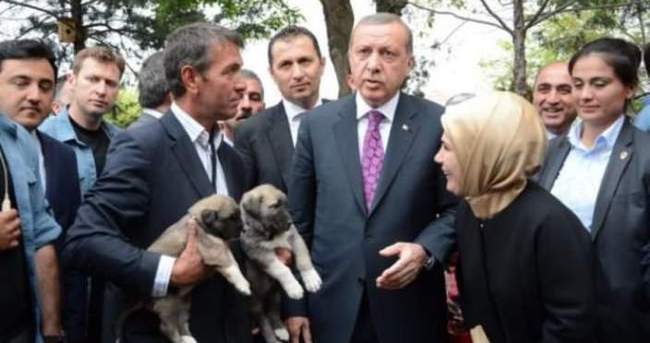 Erdoğan gözlerine inanamadı