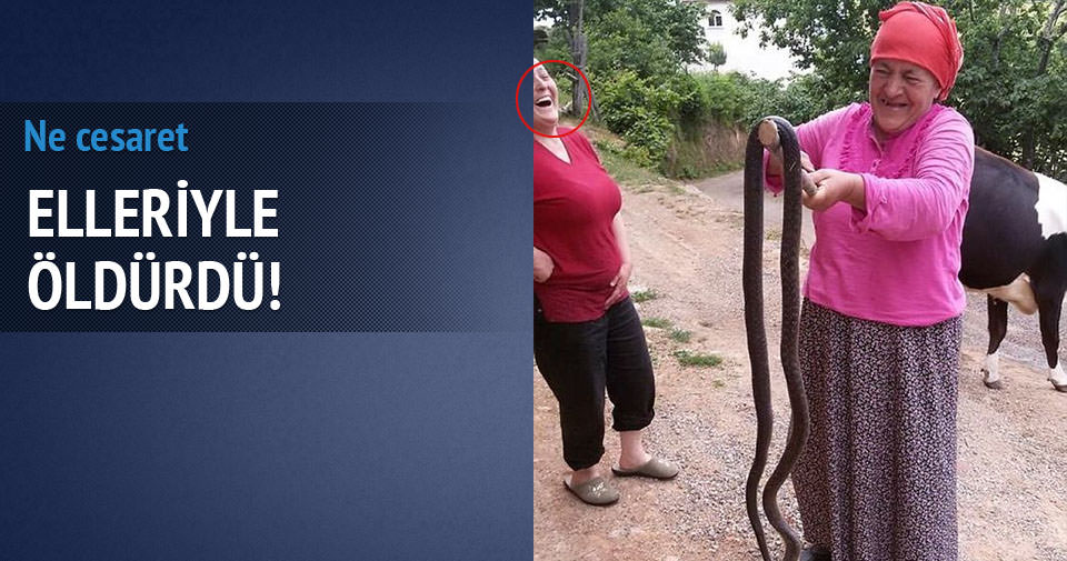 2 buçuk metrelik yılanı elleriyle öldürdü!