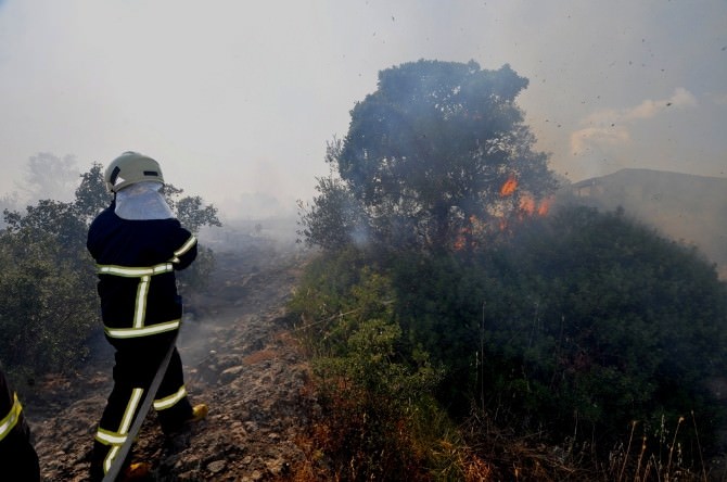 Bodrum’da Makilik Alanda Çıkan Yangın Korkuttu