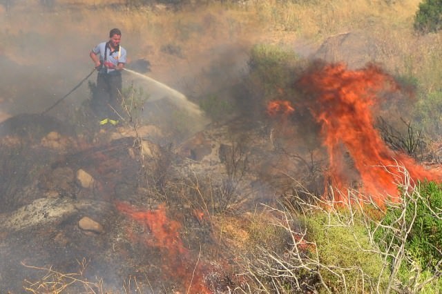 Bodrum’da Örtü Yangını Zeytinlere Sıçramadan Söndürüldü