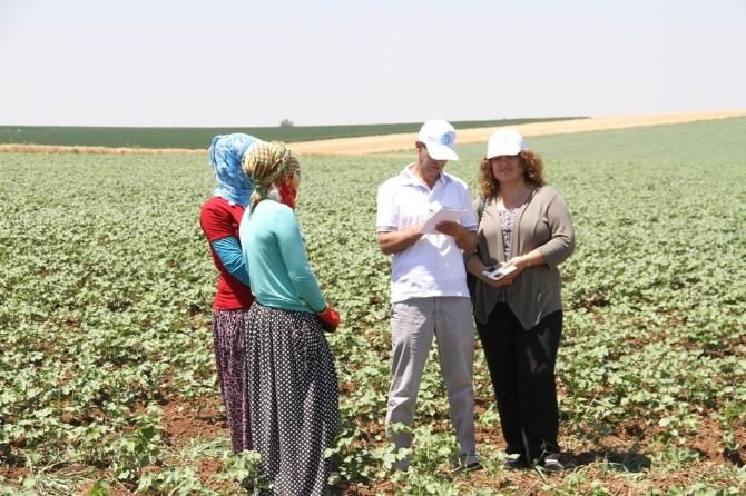 Kadın Ve Eşitlik Komisyonu Üyeleri Mevsimlik İşçileri Ziyaret Etti