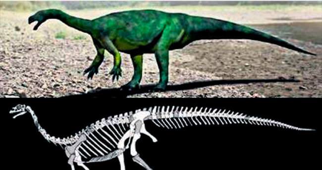 Güney Afrika’da yeni bir dinozor keşfedildi