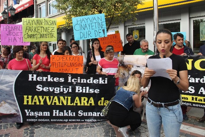 Edirne’de Pompalı Tüfekle Köpek Vahşetine Tepkiler Büyüyor