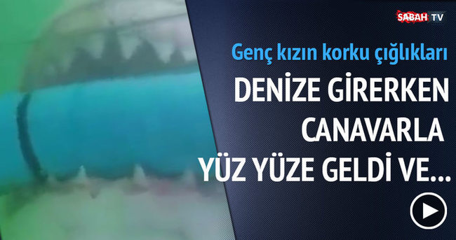 Canavar ile yüz yüze