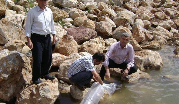 Amasya’da 2 Gölete 20 Bin Yavru Balık Bırakıldı