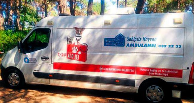 Yaralı hayvanlar için ambulanslı müdahale