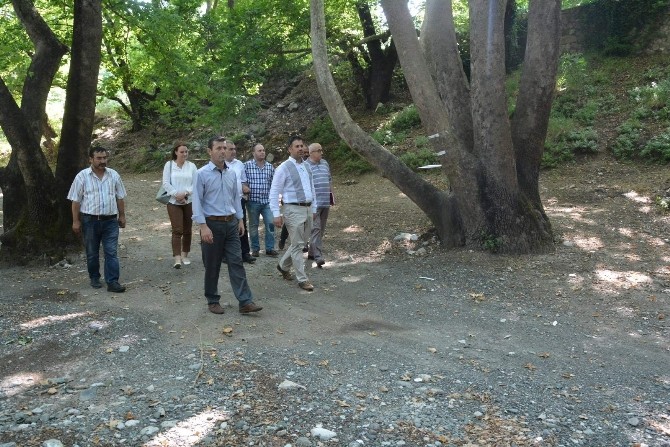 Yunusemre Belediyesi Piknik Alanlarını Güzelleştiriyor