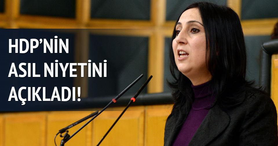 HDP’li Figen Yüksekdağ asıl niyetlerini açıkladı