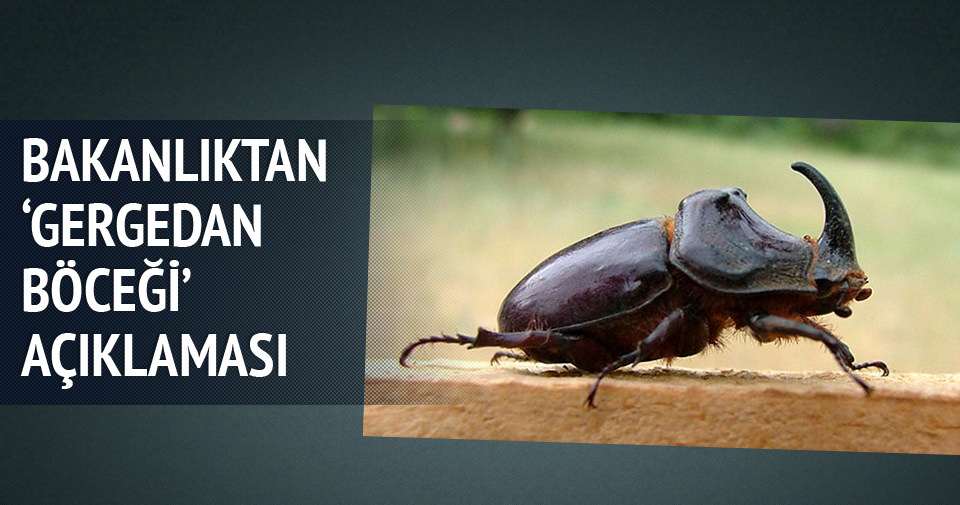 Bakanlıktan ’Gergedan böceği’ açıklaması